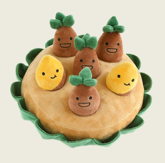 Plucking Groundnut Sweet Potato Set Of Pet Toys