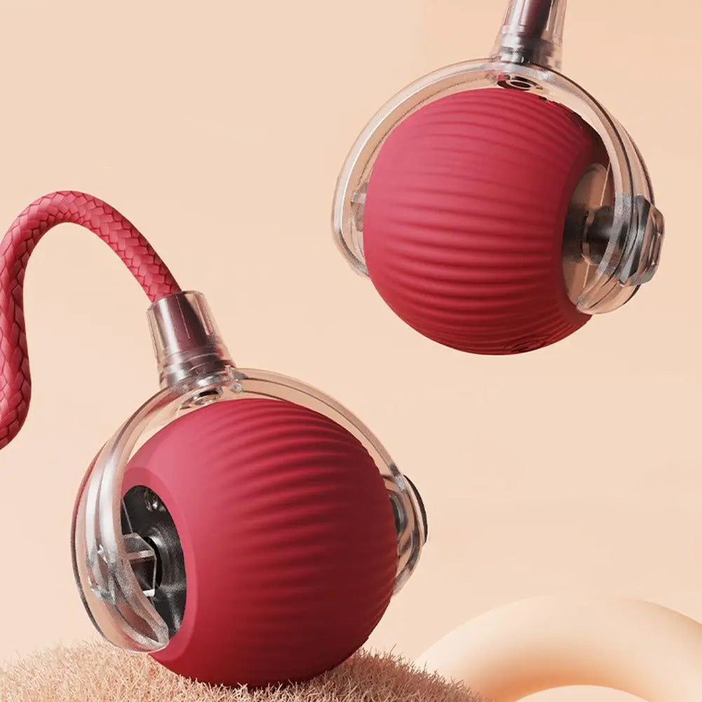 Chase & Play: Interactive Tail Ball for Cats & Dogs!